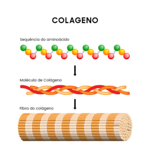 Importância do colágeno na flacidez